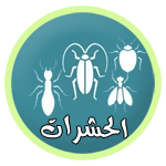 شركة نور الزهراء